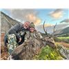 Image 2 : GLACIAL VALLEY: 4-Day Sika Stag Hunt for One Hunter and One NH in Ireland - Includes Trophy Fee