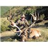 Image 1 : SOUTH PACIFIC SAFARI: 5-Day Red Stag FEW Hunt for One Hunter in New Zealand - Includes Trophy Fee
