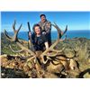 Image 5 : SOUTH PACIFIC SAFARI: 5-Day Red Stag FEW Hunt for One Hunter in New Zealand - Includes Trophy Fee