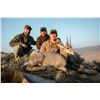 Image 1 : KAROO2COAST: 10-Day 'Tiny 12 Starter' Safari for One Hunter and One NH in SA - Includes Trophy Fees