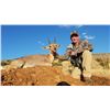 Image 2 : KAROO2COAST: 10-Day 'Tiny 12 Starter' Safari for One Hunter and One NH in SA - Includes Trophy Fees