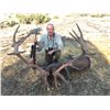 Image 1 : GIUSEPPE  CARRIZOSA: 4-Day Iberian Red Stag Hunt for Two Hunters in Spain - Includes Trophy Fees