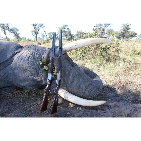 NDUMO SAFARIS: 4-Day Trophy Elephant Hunt for One Hunter and One NH in Namibia