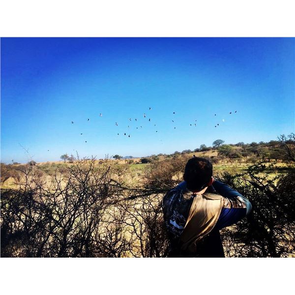 SIERRA BRAVA LODGES: 4-Day/4-Night High-Volume Dove Hunt for Eight Hunters in Santa Fe, Argentina