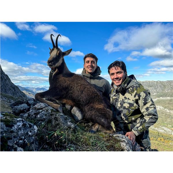 CINEGETICA: 6-Day Pyrenean Chamois and Roe Deer Hunt for One Hunter in Spain - Includes Trophy Fees