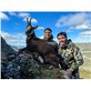 Image 1 : CINEGETICA: 6-Day Pyrenean Chamois and Roe Deer Hunt for One Hunter in Spain - Includes Trophy Fees