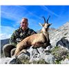Image 5 : CINEGETICA: 6-Day Pyrenean Chamois and Roe Deer Hunt for One Hunter in Spain - Includes Trophy Fees
