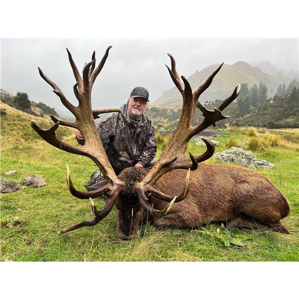 SPEY CREEK: 5-Day Red Stag Hunt for Two Hunters and Two NHs in New Zealand - Includes Trophy Fees