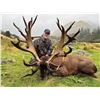 Image 1 : SPEY CREEK: 5-Day Red Stag Hunt for Two Hunters and Two NHs in New Zealand - Includes Trophy Fees