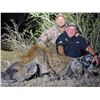 Image 2 : HUNTERS CREEK: 6-Day Hyena and Buff Cow Hunt for Two Hunters in SA - Includes Trophy Fees & Tour
