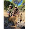 Image 2 : IBERIAN HUNTERS SPAIN: 4-Day/3-Night Roe Deer Hunt for Two Hunters in Spain - Includes Trophy Fees