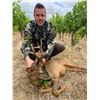 Image 3 : IBERIAN HUNTERS SPAIN: 4-Day/3-Night Roe Deer Hunt for Two Hunters in Spain - Includes Trophy Fees