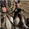Image 1 : COLD WATER OUTFITTERS: 4-Day/4-Night Waterfowl Hunt for Four Hunters in North Dakota