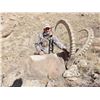 Image 1 : PROFIHUNT: 7-Day Mid-Asian Ibex Hunt for One Hunter in Kyrgyzstan - Includes Trophy Fee