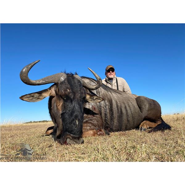 AFRICAN MAXIMUM: 8-Day Plains Game Safari for Two Hunters and Two NHs in SA - Includes Trophy Fees