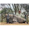 Image 2 : AFRICAN MAXIMUM: 8-Day Plains Game Safari for Two Hunters and Two NHs in SA - Includes Trophy Fees