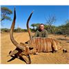 Image 4 : AFRICAN MAXIMUM: 8-Day Plains Game Safari for Two Hunters and Two NHs in SA - Includes Trophy Fees