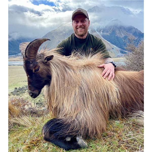 SOUTHERN MOUNTAIN ADVENTURE: 5-Day Tahr Hunt for Two Hunters in NZ - Includes Trophy Fees