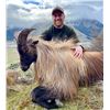 Image 1 : SOUTHERN MOUNTAIN ADVENTURE: 5-Day Tahr Hunt for Two Hunters in NZ - Includes Trophy Fees