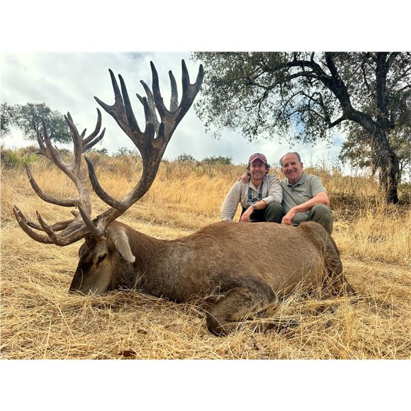 CAMINO REAL: 6-Day Red Stag Hunt for One Hunter and One Non-Hunter in Spain - Includes Trophy Fee