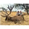 Image 1 : CAMINO REAL: 6-Day Red Stag Hunt for One Hunter and One Non-Hunter in Spain - Includes Trophy Fee