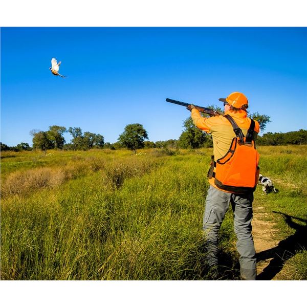 JOSHUA CREEK: 3-Day/2-Night Upland Bird Hunt for Two Hunters and Two Non-Hunters in Texas