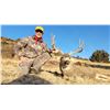 Image 4 : JACK CASSIDY: 5-Day Pronghorn and Mule Deer OR Whitetail Hunt for One in WY - Includes Trophy Fees