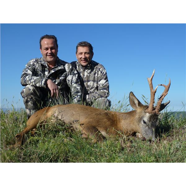 TROPHY TRAILS: 5-Day Fallow or Roe Hunt for One Hunter and One NH in Spain - Includes Trophy Fee