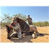 Image 2 : JAMY TRAUT: 7-Day Plains Game Safari for One Hunter and One NH in Namibia - Includes Trophy Fees