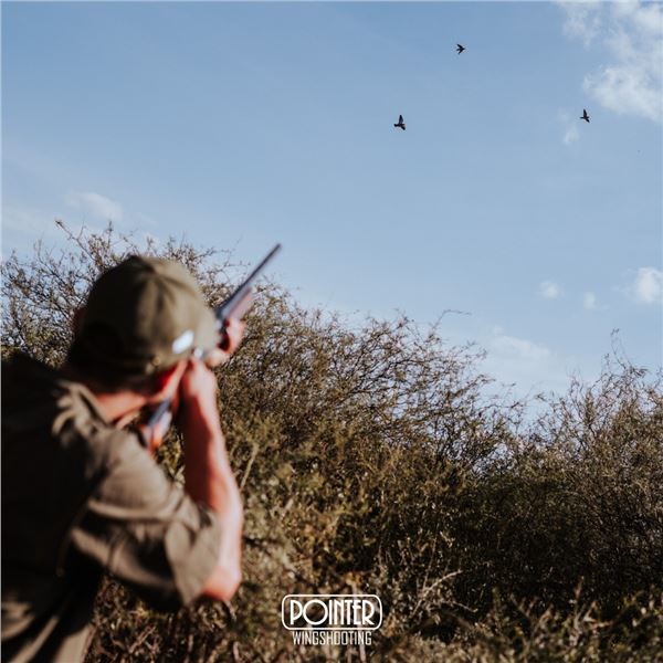 POINTER OUTFITTERS: 4-Day/4-Night Mixed Bag Hunt for Four Hunters in Argentina