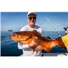 Image 2 : TROPIC STAR LODGE: 6-Day/7-Night Fishing Adventure for Two Anglers in Panama