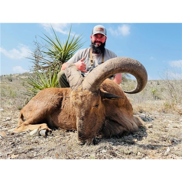OX RANCH: 3-Day Exotic Species Hunt for One Hunter and One NH in Texas - Includes Trophy Credit