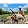 Image 3 : OX RANCH: 3-Day Exotic Species Hunt for One Hunter and One NH in Texas - Includes Trophy Credit