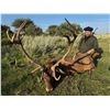 Image 2 : TGB OUTFITTERS: 7-Day Big Game Hunt for Two Hunters in Argentina - Includes Trophy Fees