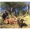 Image 4 : TGB OUTFITTERS: 7-Day Big Game Hunt for Two Hunters in Argentina - Includes Trophy Fees