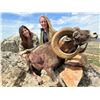Image 2 : HEREDEROS: 5-Day Iberian Mouflon Hunt for One Hunter and One NH in Spain - Includes Trophy Fee