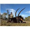 Image 1 : DRIES VISSER: 10-Day Plains Game Safari for Two Hunters and Two NHs in SA - Includes Trophy Fees
