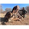 Image 4 : DRIES VISSER: 10-Day Plains Game Safari for Two Hunters and Two NHs in SA - Includes Trophy Fees
