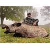 Image 1 : SAFARI INTERNATIONAL: 5-Day Boar & Mouflon Hunt for 1Hunter/1NH in Macedonia - Includes Trophies