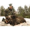Image 5 : SAFARI INTERNATIONAL: 5-Day Boar & Mouflon Hunt for 1Hunter/1NH in Macedonia - Includes Trophies