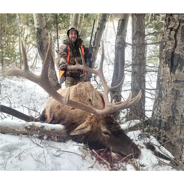 HUBBARDS: 5-Day Elk & Mule Deer OR Whitetail Hunt for One Hunter in MT - Includes Best Available
