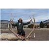 Image 2 : HUBBARDS: 5-Day Elk & Mule Deer OR Whitetail Hunt for One Hunter in MT - Includes Best Available