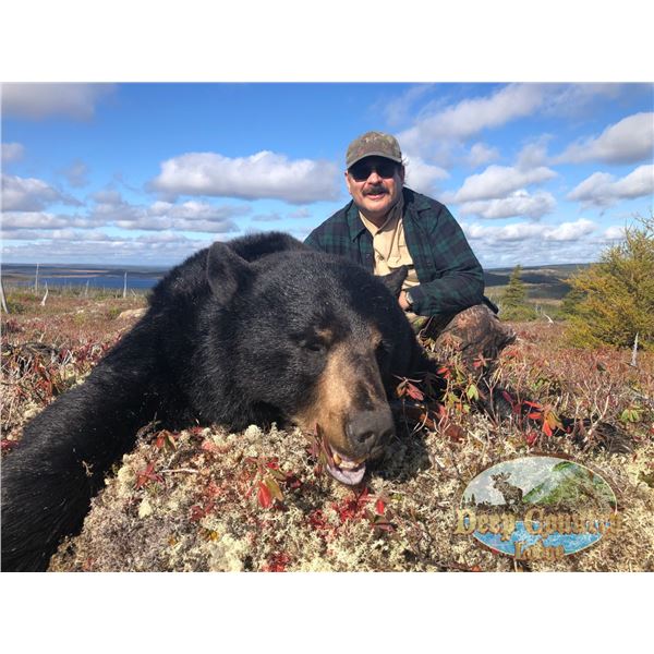 DEEP COUNTRY: 7-Day Bear Hunt for One Hunter in Newfoundland - Includes 2x Best Available Bears