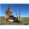 Image 1 : TS BUENOS AIRES: 4-Day Blackbuck Hunt for Two Hunters in Argentina - Includes Trophy Fees