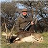 Image 3 : TS BUENOS AIRES: 4-Day Blackbuck Hunt for Two Hunters in Argentina - Includes Trophy Fees