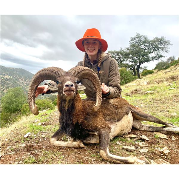 ESPACAZA - JOSE MALLO: 4-Day Big Game Hunt for Two Hunters in Spain - Includes Trophy Fees