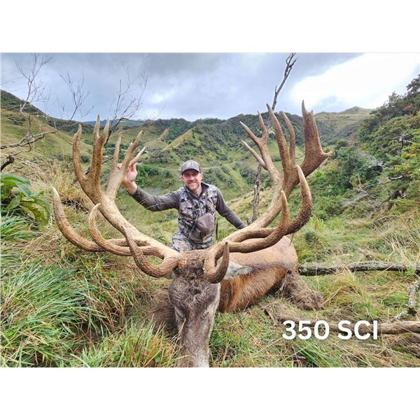 WANGANUI: 5-Day Red Stag Hunt for One Hunter and One NH in New Zealand - Includes Trophy Fee