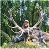 Image 2 : WANGANUI: 5-Day Red Stag Hunt for One Hunter and One NH in New Zealand - Includes Trophy Fee