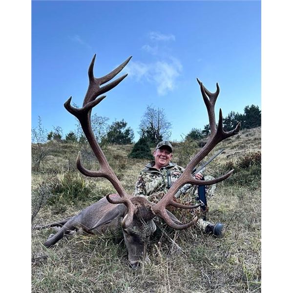 EUROHUNTS: 4-Day Red Deer Hunt for 2 Hunters and 2 NHs in Spain - Includes Trophy Fees & Tours