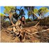 Image 7 : EUROHUNTS: 4-Day Red Deer Hunt for 2 Hunters and 2 NHs in Spain - Includes Trophy Fees & Tours